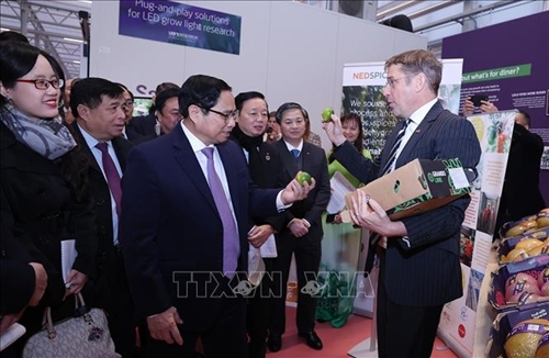 Thủ tướng Chính phủ Phạm Minh Chính thăm mô hình liên kết “3 nhà” trong lĩnh vực trồng trọt